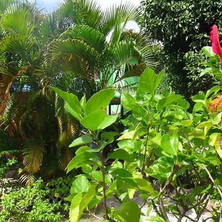 Hotel Posada Del Mar Fresh Water Bay Екстериор снимка