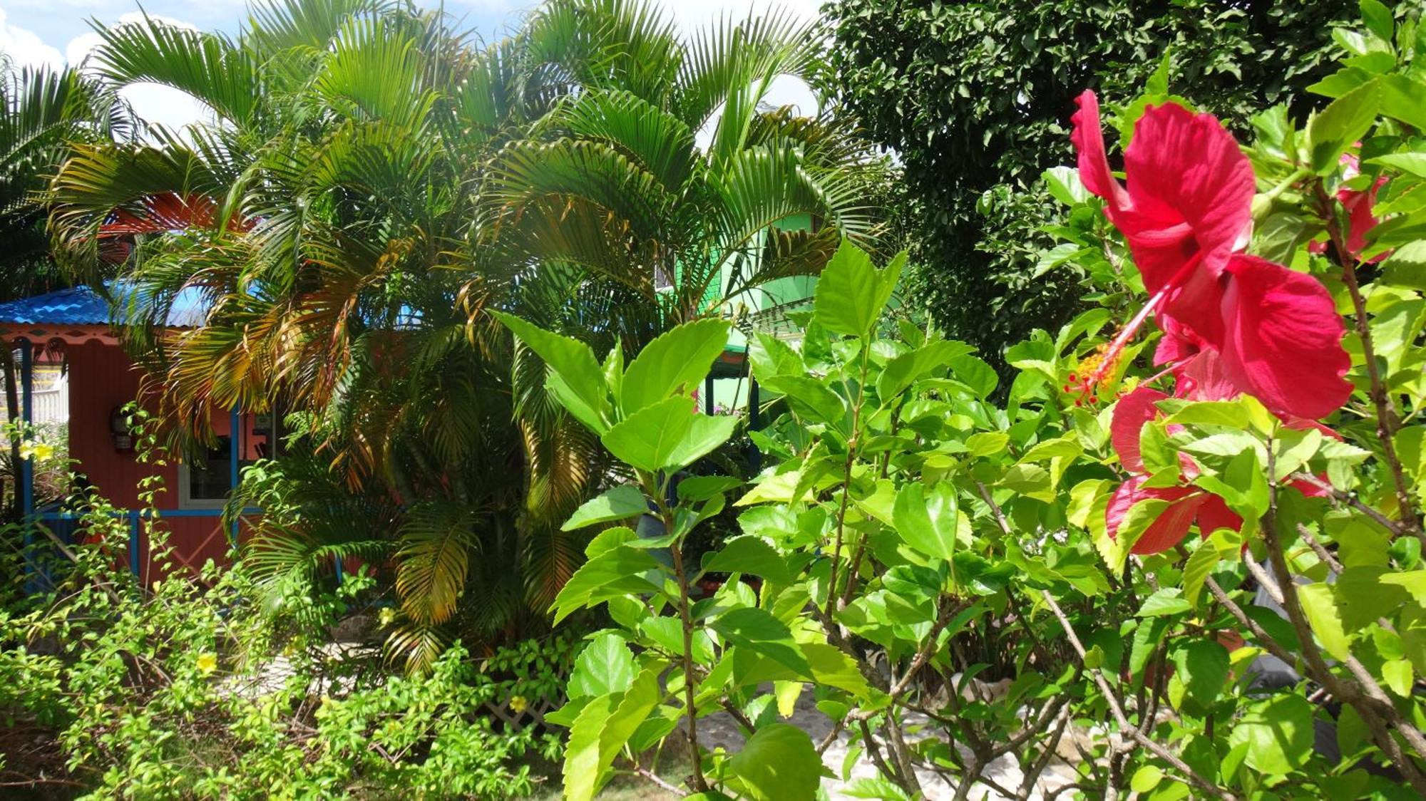 Hotel Posada Del Mar Fresh Water Bay Екстериор снимка